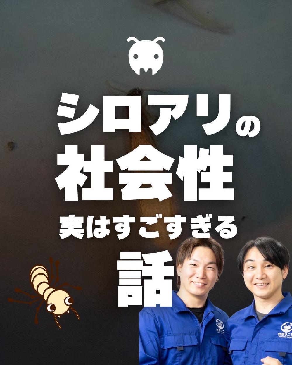 �V���A���̎Љ�ɂ���