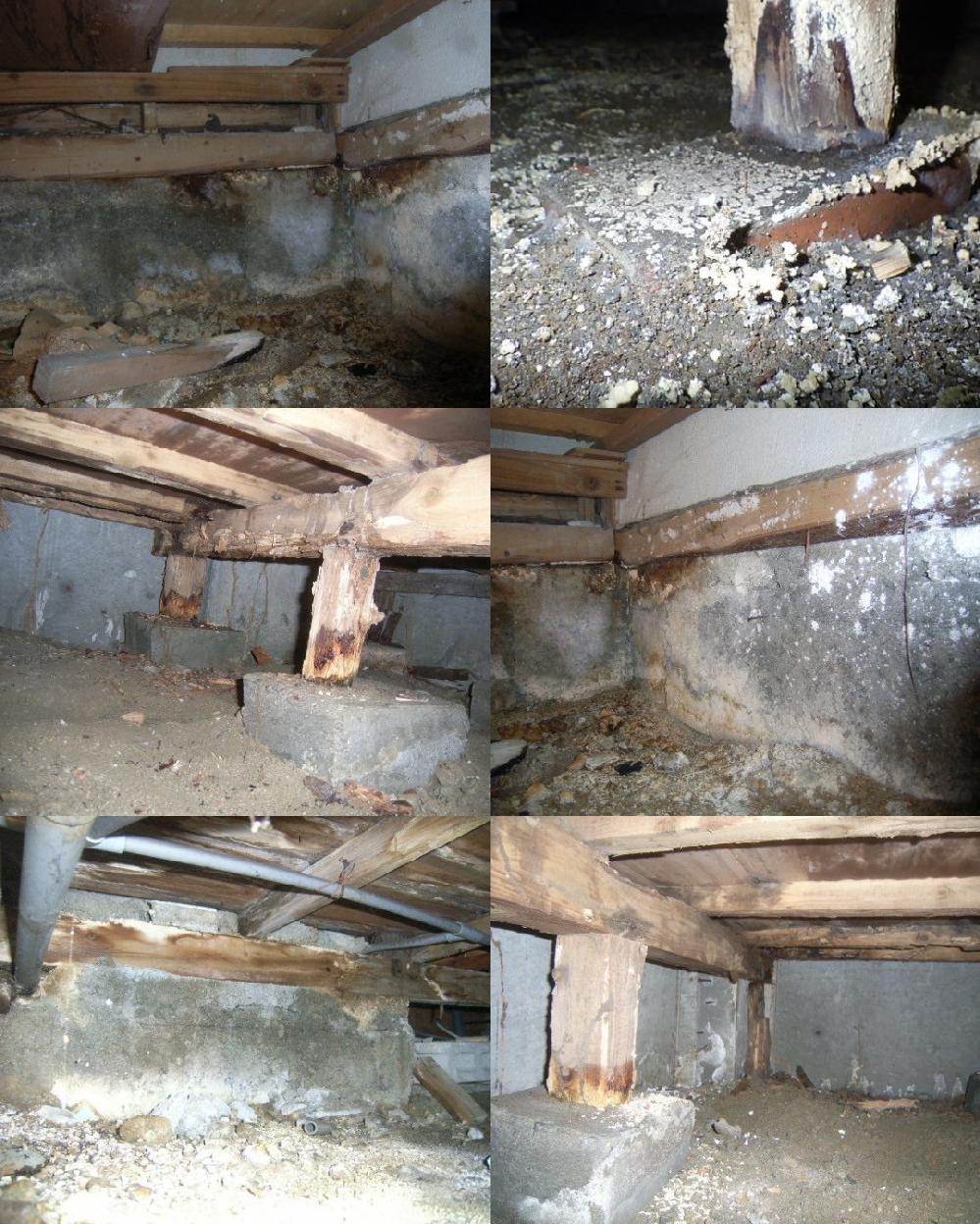 �����������̗l�q