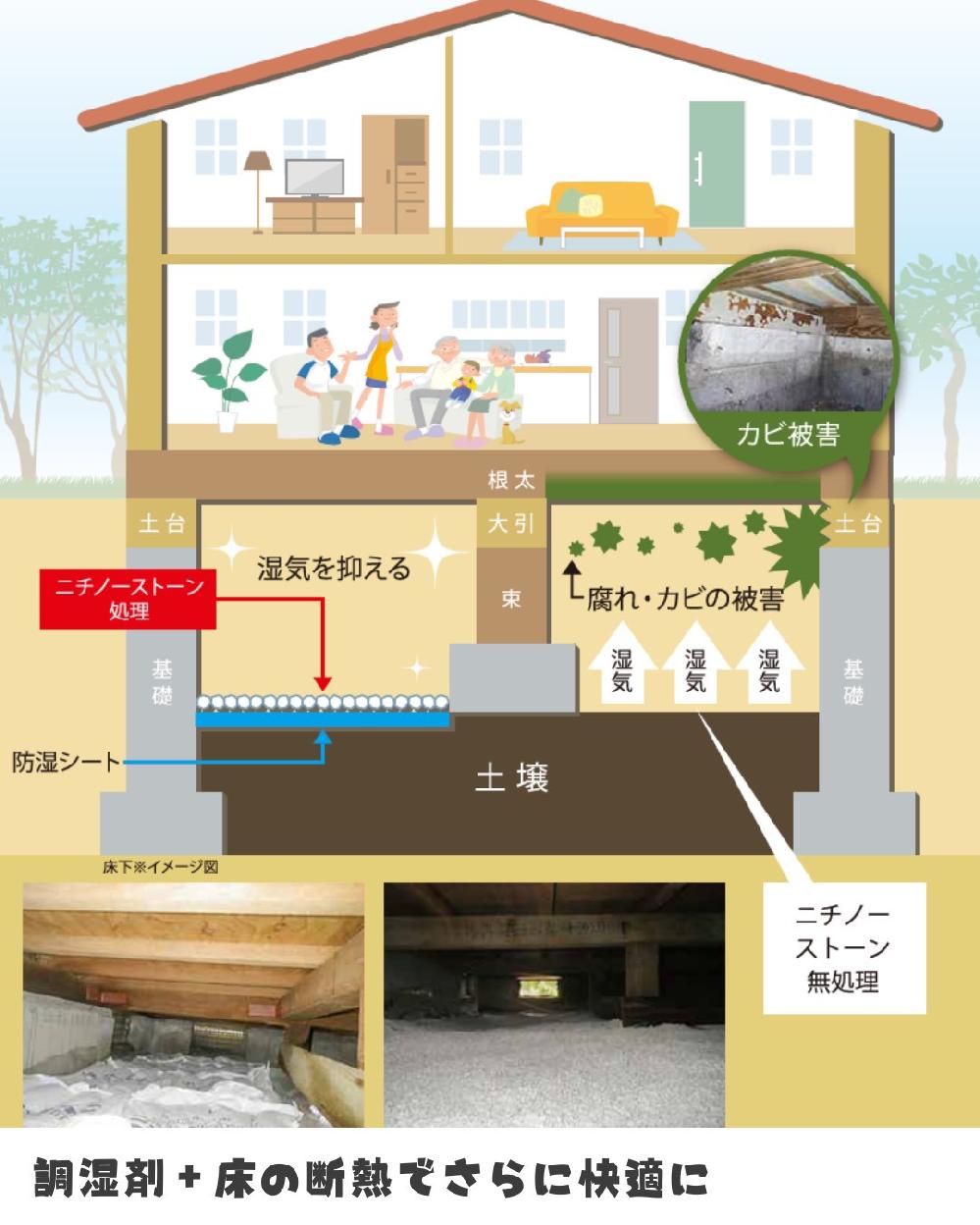 �����܁{���̒f�M�ł���ɉ��K�ɁI