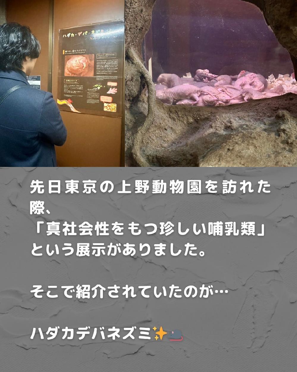 �n�_�J�f�o�l�Y�~