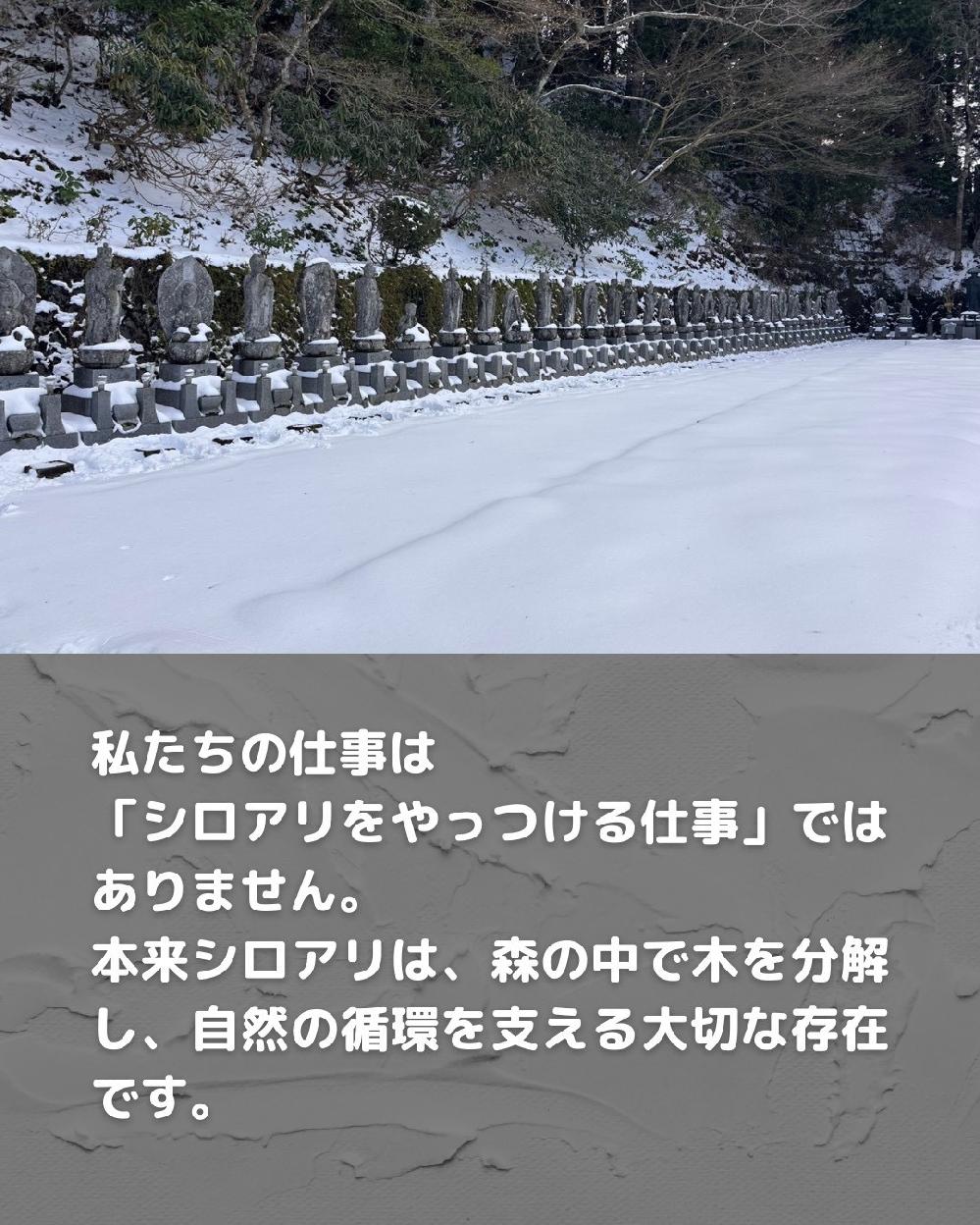 �������̎d���� �u�V���A�����������d���v�ł͂���܂���B