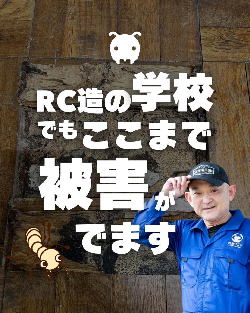 �u�S�؃R���N���[�g�̌����₩��A�V���A���͊֌W�Ȃ����v