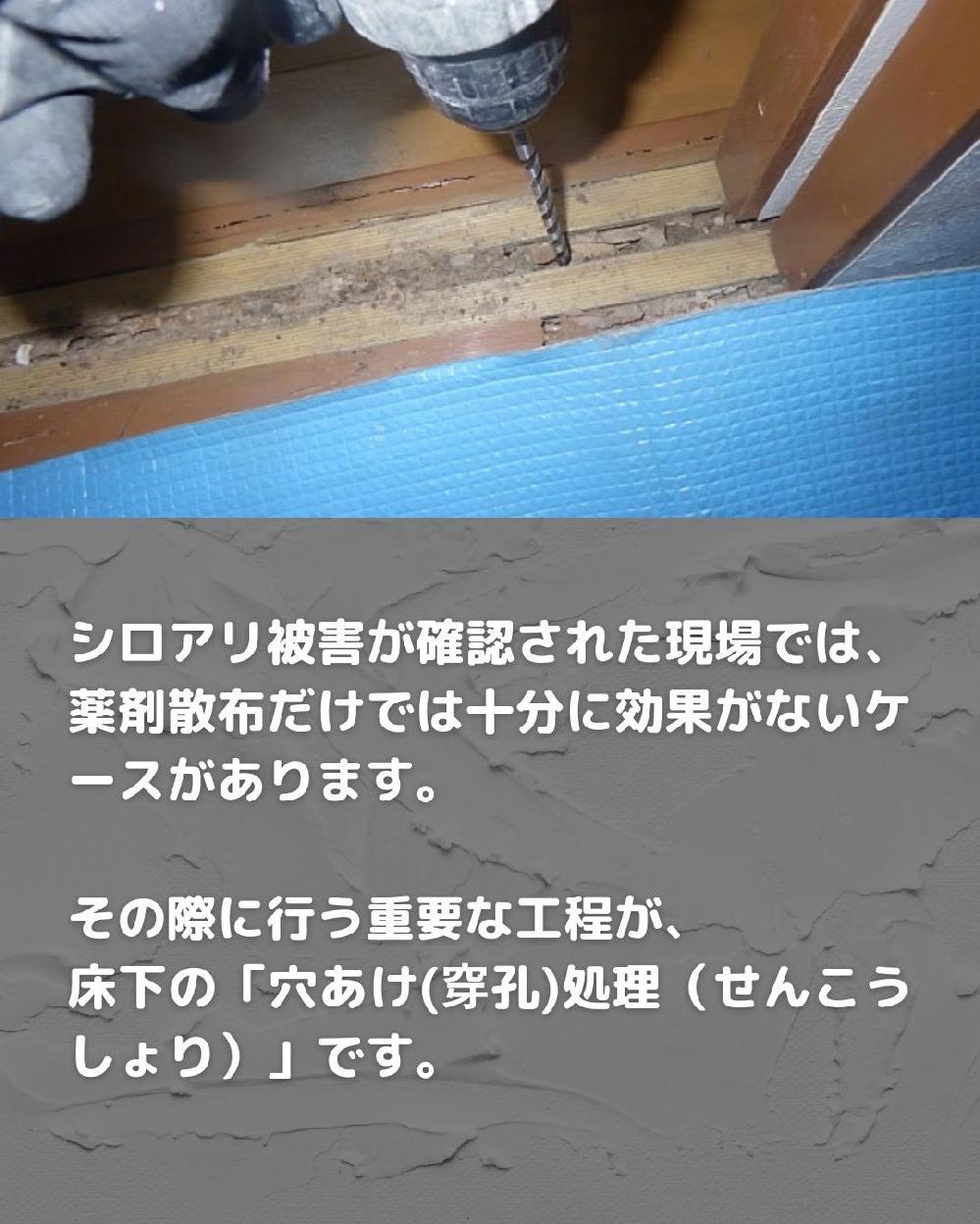 �V���A����Q���m�F���ꂽ����ł́A��܎U�z�����ł͏\���Ɍ��ʂ��Ȃ��P�[�X������܂��B