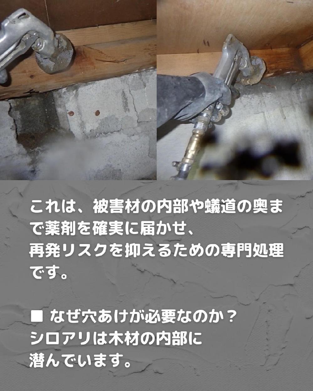 ����́A��Q�ނ̓�����a���̉��܂Ŗ�܂��m���ɓ͂����A �Ĕ����X�N��}���邽�߂̐�又���ł��B