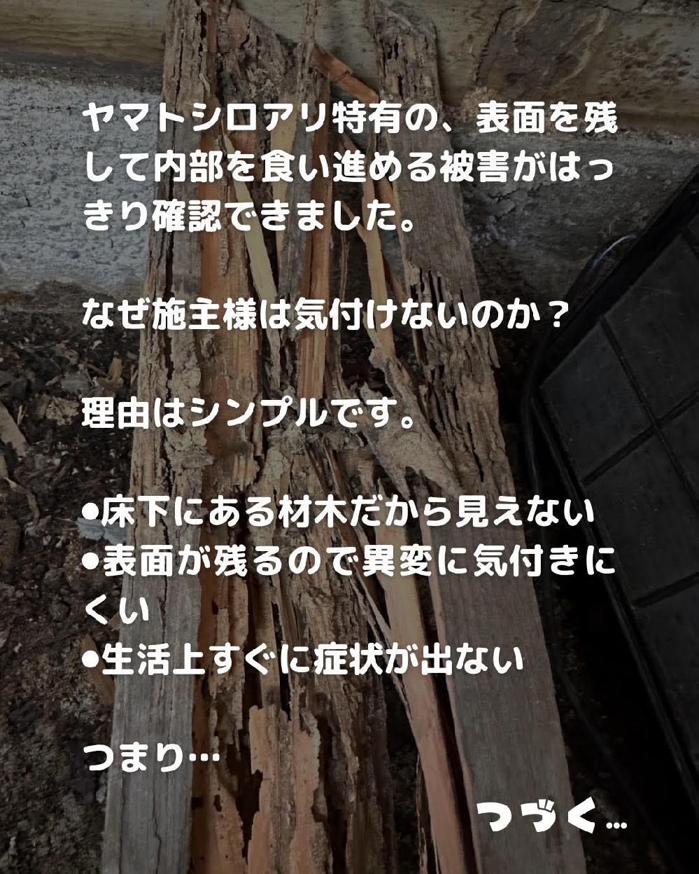 ���}�g�V���A�����L�́A�\�ʂ��c���ē�����H���i�߂��Q���͂�����m�F�ł��܂����B   �Ȃ��{��l�͋C�t���Ȃ��̂��H