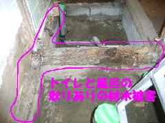 トイレ、風呂場の土台のシロアリ被害状況写真