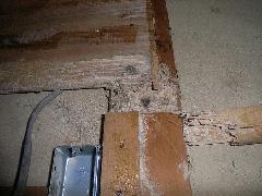 奈良県白蟻対策　改築で和室シロアリ被害写真