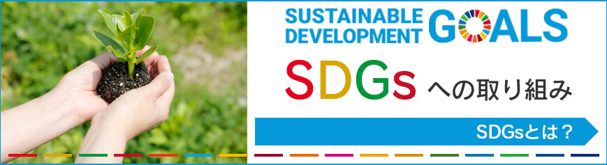 SDGsւ̎g